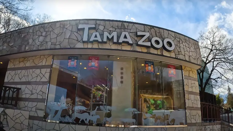 ВОЛК ИЗБЕГА ОД ЗООЛОШКА ГРАДИНА ВО ТОКИО Граѓаните предупредени да не му се доближуваат