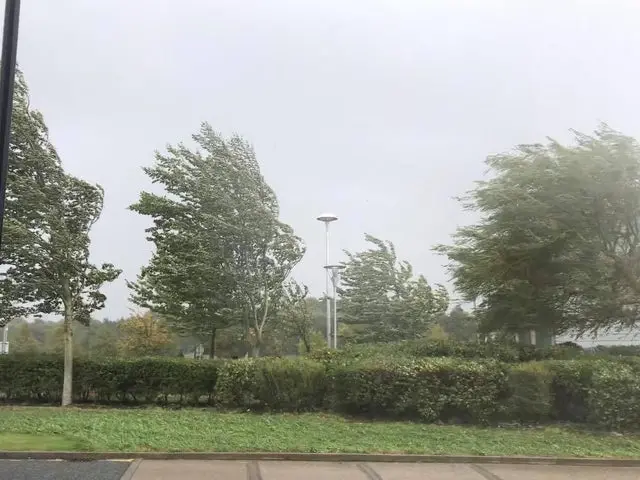 Метео аларм: Силен северен ветер над 60 км/ч денеска во Повардарието и на истокот