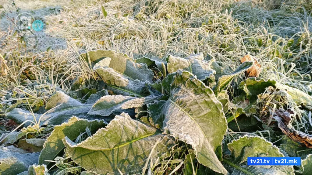 Македонија мрзне, утрово измерени -8 степени во овој град