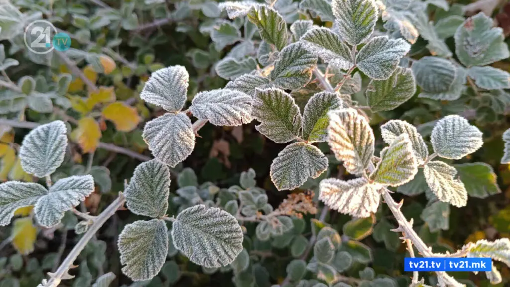 Минусни утрински температури, најстудено на Попова Шапка