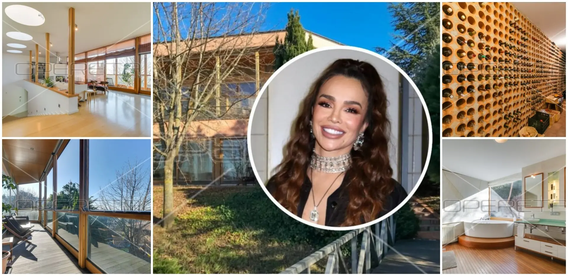 Што се крие во 390 квадратни метри луксуз: Ова е вилата што ја купи Северина