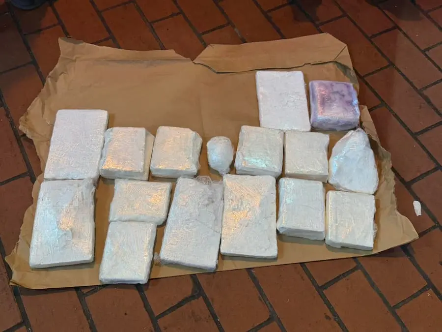 (ВИДЕО) Пронајдени и одземени 10 килограми кокаин во возило, лишен од слобода возачот