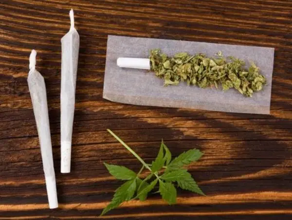 Две деца на 17 години од Битола во двор на основно училиште фатени се со 48 пакувања марихуана, едно од децата нападнало полицаец