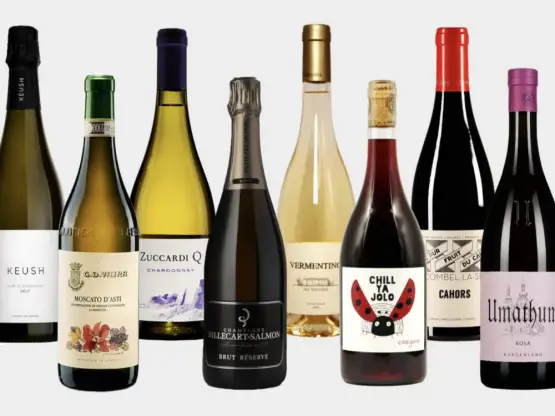 50 најдобри вина под 50 долари од нашиот вински експерт