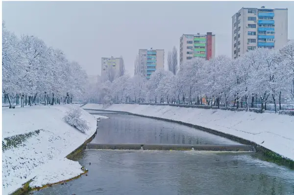 Снегот во Сараево сруши дрво врз жена: од повредите почина