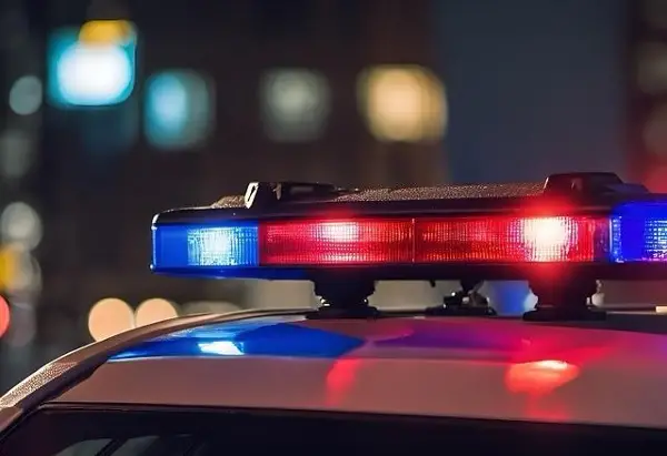 Патнички автобус излета од патот во Нова Пазова