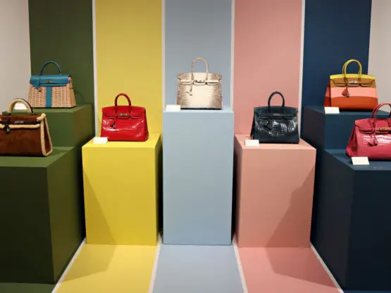 Дали „Биркин“ чантата е добра инвестиција? Само ако сте подготвени на ризик