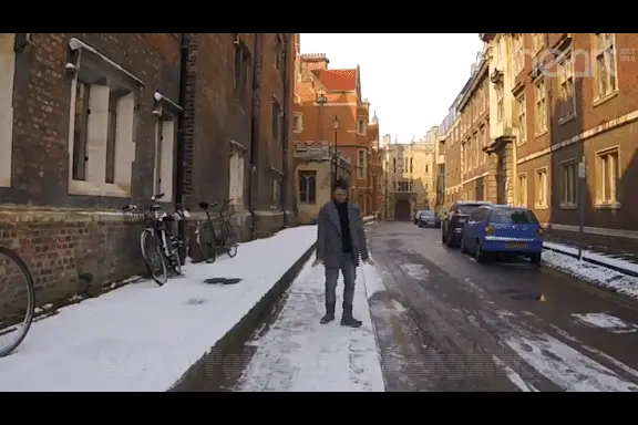 ВИДЕО Чекор на пингвин – вака треба да се оди по мраз