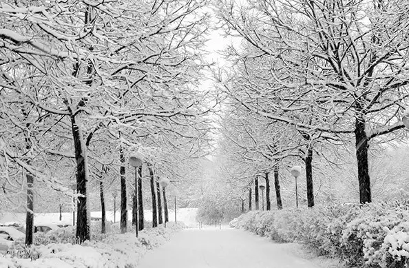 ТЕМПЕРАТУРИ ДО -20, 30 САНТИМЕТРИ СНЕГ НА ПЛАНИНИТЕ, А ЌЕ ОБЕЛИ И СКОПЈЕ: Најава за нови снежни врнежи во Македонија