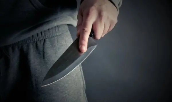 Ученичка во средно училиште во Словенија била нападната со нож