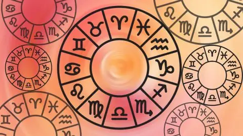 Стрелецот со заразен оптимизам, Вагата ќе цвета