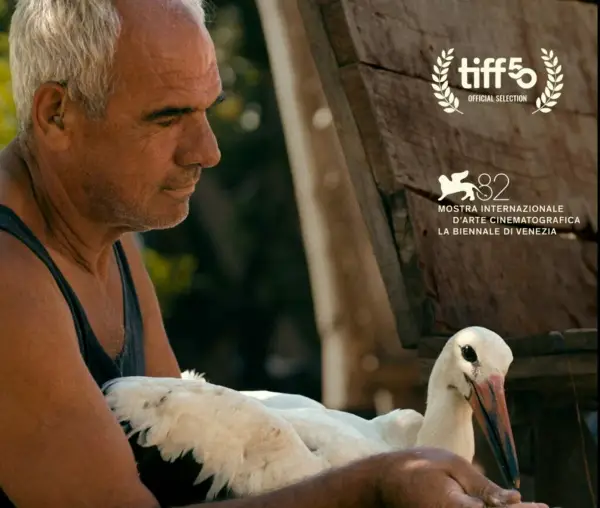 Македонскиот филм во 2025: година на видливост, зрелост и нова самодоверба