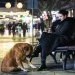 Прифатилиштето Хачико со кампања ќе поттикнува поголема емпатија кон уличните кучиња во Битола