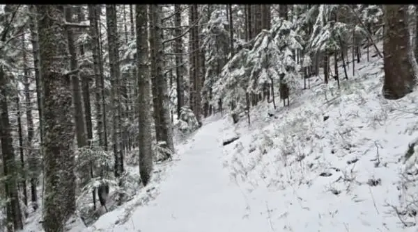 Видео - Снежна идила на Пелистер