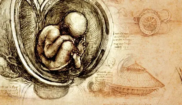 Научници можеби открија ДНК на Леонардо да Винчи