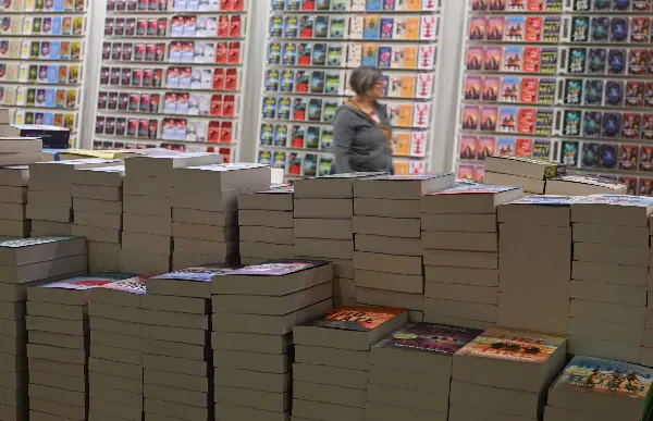 Кризата влијае и на книжевниот пазар