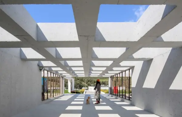 Повеќе од азил: Како архитектурата во Измир е ставена во служба на посвојувањето кучиња