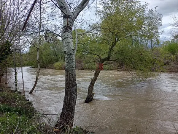 ЦУК: Водостојот на реките постепено се намалува, но и натаму има поплавени земјоделски површини, дворови и подруми