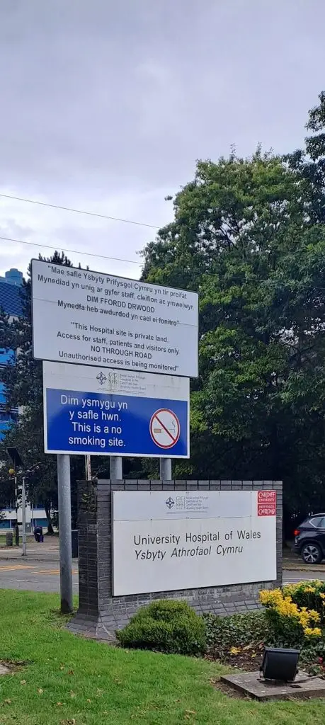 Феталната ехокардиографија бара високо специјализирана опрема, големо искуство и посебна експертиза