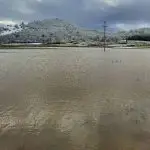 Жители на Бараково: Ова не се обични парцели, oва е лебот