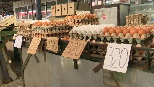 Падот на цените на јајцата е реакција на пазарот