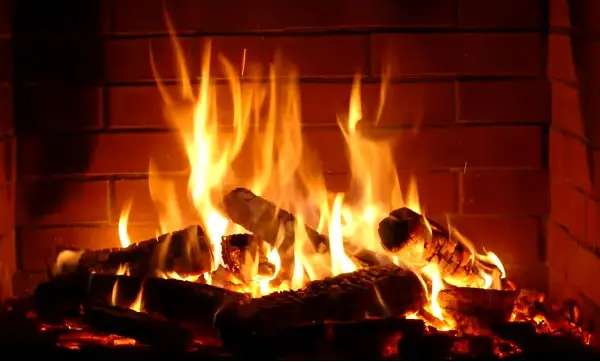 Едно видео, милионска заработка: Приказна за каминот