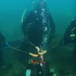 Запален василичарскиот оган во водите на Охридското Езеро