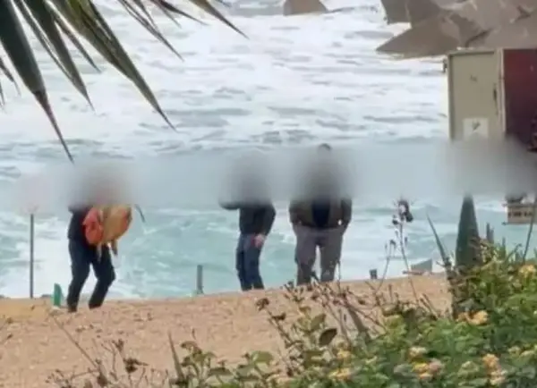 Бизарна снимка од Кипар: Комуналци се изживуваат врз огромна морска желка (ВИДЕО)