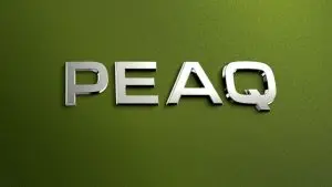 Името на новиот модел на Шкода е врв