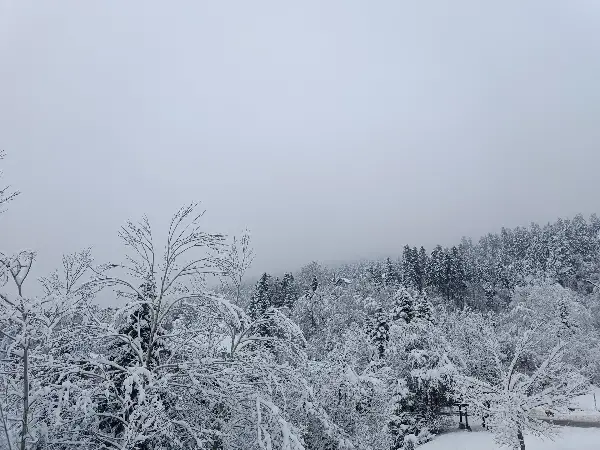 ЌЕ СЕ ФОРМИРА НОВА СНЕЖНА ПОКРИВКА: Попоски со прогноза за следните денови
