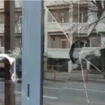 Приведено лицето кое го оштети стаклото на влезната врата на Бугарската амбасада