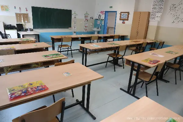 ИЈЗ: Пикот на грипот се очекува на крајот на месецот до средината на февруари