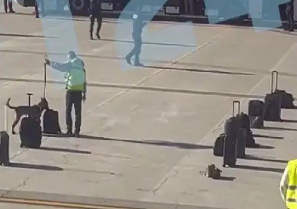 Драма над Барселона: авион принудно слетал поради закана од бомба