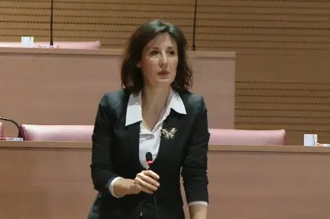 ХРВАТСКА ПРАТЕНИЧКА ЈА УДРИ СТРУЈА ВО ПАРЛАМЕНТОТ (ВИДЕО)