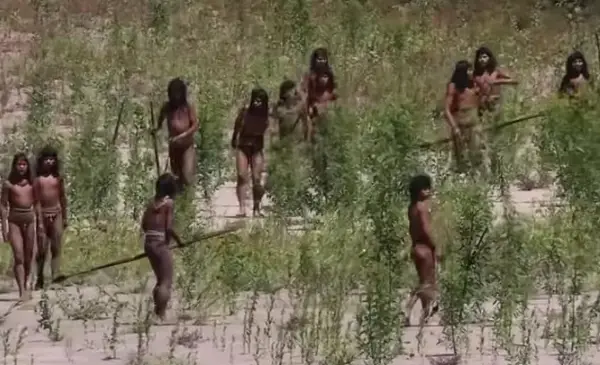 Први снимки од изолирано племе во Амазонија- ги подигнаа копјата и стрелите кога видоа камера (ВИДЕО)