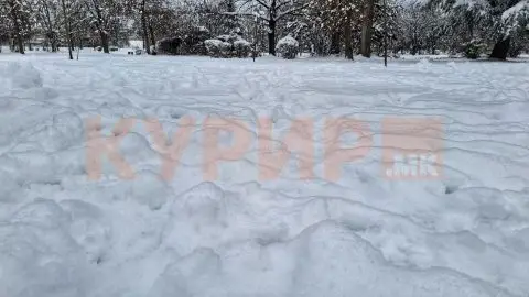 Облачно и студено, од вторник кон крајот на денот врнежи од снег