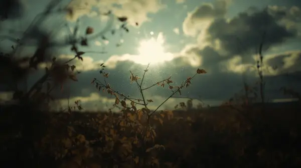 Екстремен студ и температури до -25°C по Водици