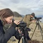 Денес се пребројуваа водните птици во Преспа, има 14.353 единки од 19 видови