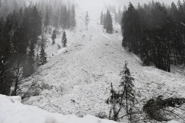 Петмина скијачи загинаа во лавини во Австрија