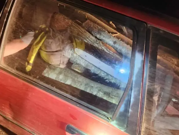 Лишени од слобода две лица од Марена, во „мерцедес“ носеле огревни дрва без документи 