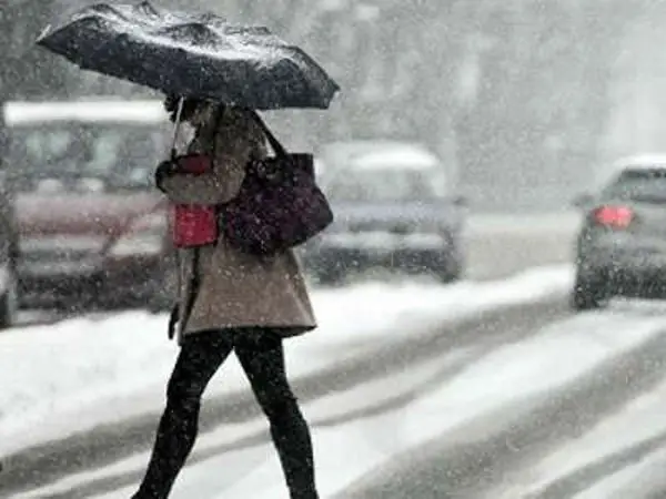 Студен бран доаѓа во Македонија