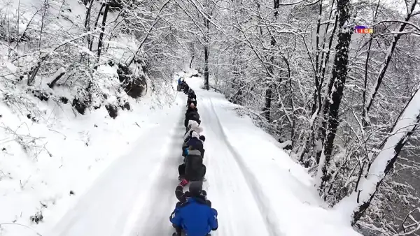 Сцена од Србија го обиколи светот: Колона од санки полна со насмеани деца ги топи дури и најладните срца (ВИДЕО)