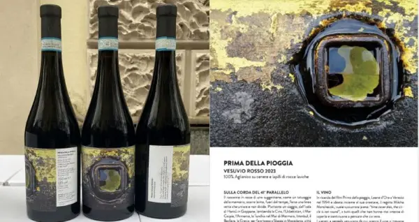 Во Италија промовирано ново вино „Пред дождот“ инспирирано од филмскиот класик на Манчевски