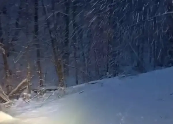 Нови снежни врнежи ја парализираа Словенија: 35.000 корисници без струја, делови од Марибор и без вода