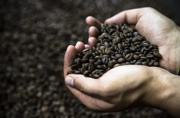 Никогаш не треба да чувате кафе на овие места – бидете внимателни