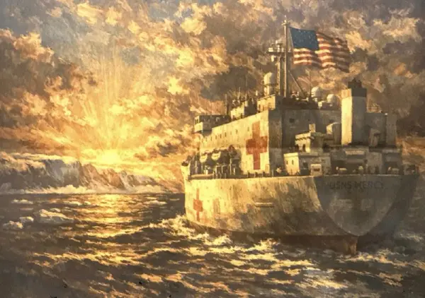 Данска: На Гренланд не му е потребен болнички брод од САД