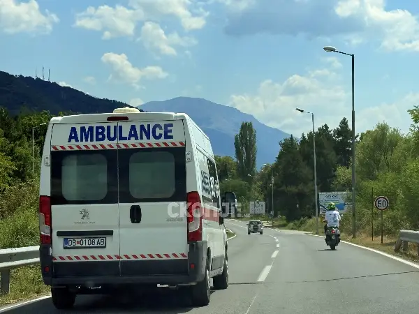 Стружанка почина откако во неа удрило товарно возило