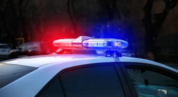 Американец истепа двајца полицајци кај Демир Капија