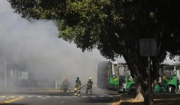 Повеќе од илјада луѓе заробени во зоолошка градина во Мексико, меѓу нив има и деца