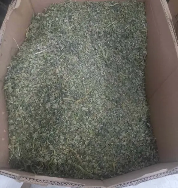 Одземен еден тон марихуана од Green life – Валандово (ФОТО)